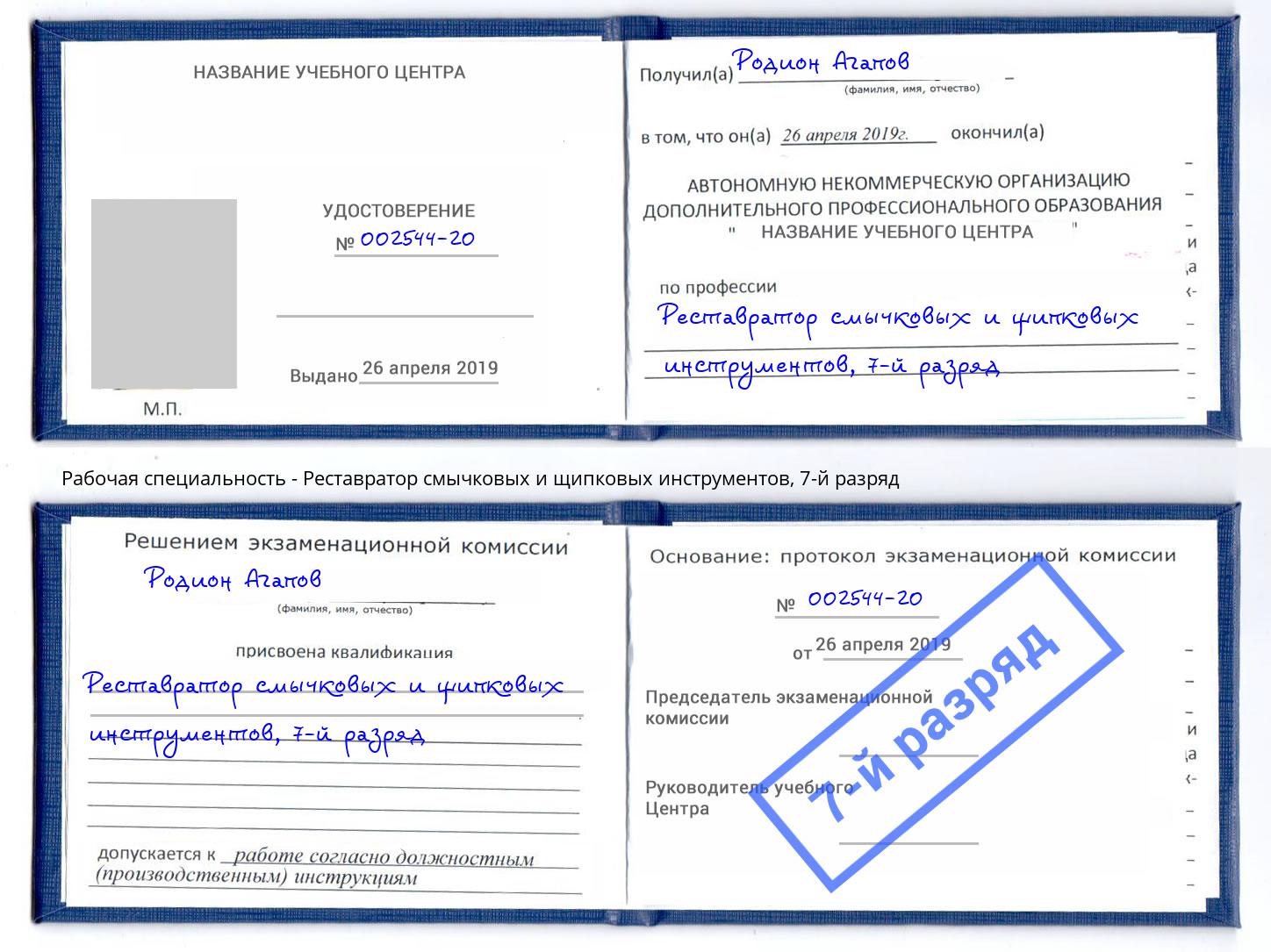 корочка 7-й разряд Реставратор смычковых и щипковых инструментов Ковров