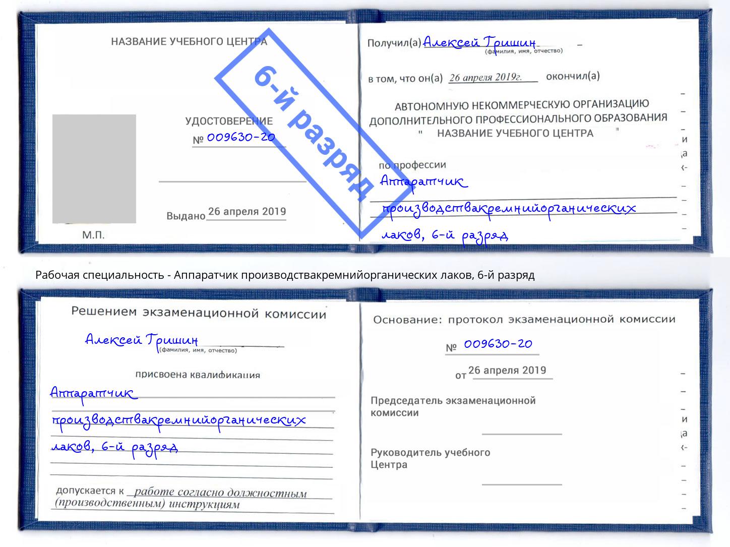 корочка 6-й разряд Аппаратчик производствакремнийорганических лаков Ковров