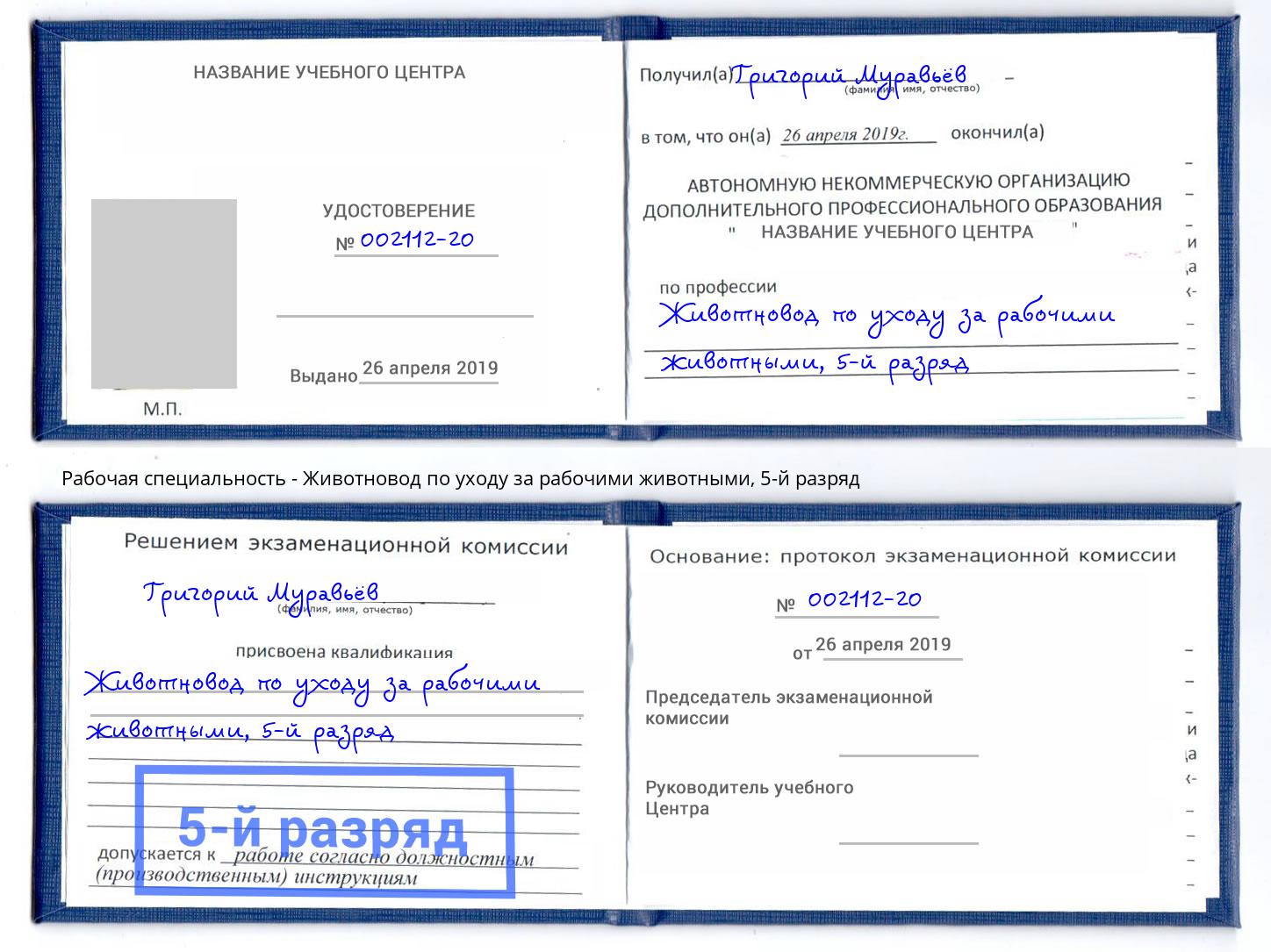 корочка 5-й разряд Животновод по уходу за рабочими животными Ковров