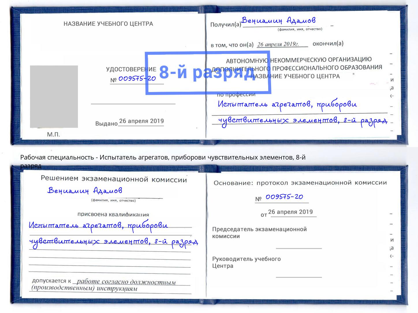корочка 8-й разряд Испытатель агрегатов, приборови чувствительных элементов Ковров
